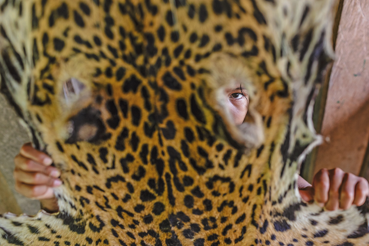 Una niña indígena juega con la piel de un jaguar en un caserío a orillas del río Igaraparaná, 2013. Foto de Federico Ríos.