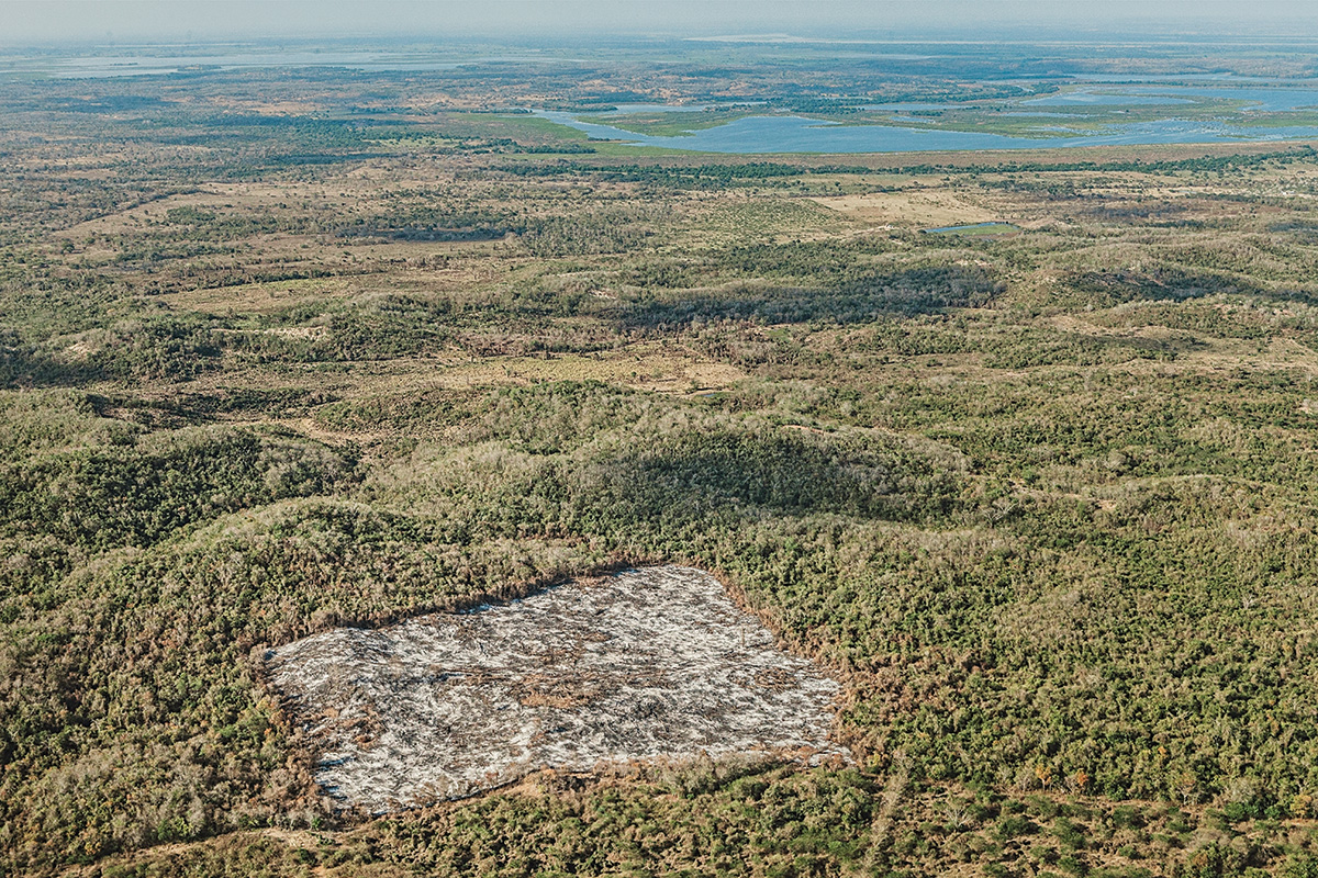 Parte de un territorio deforestado cerca a Plato, Magdalena, 2019. Foto de Juan Arredondo.