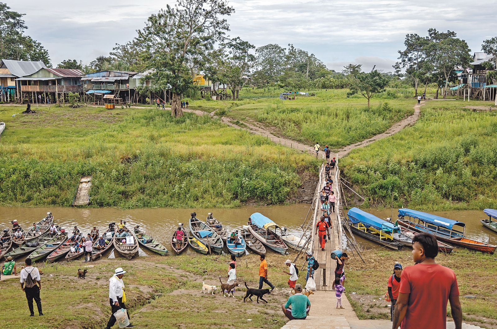 Lanchas y canoas llegan al estrecho brazo del río Amazonas que bordea Leticia con alimentos que comercializan las comunidades en el mercado. Entre motocicletas, motocamiones y conversaciones en lengua ticuna, los vendedores se instalan con frutas exóticas, ají, carbón, fariña y pescado, creando un colorido paisaje que mezcla acentos, aromas y formas, reflejo de la riqueza cultural y natural de la región. Foto de María Andrea Parra.