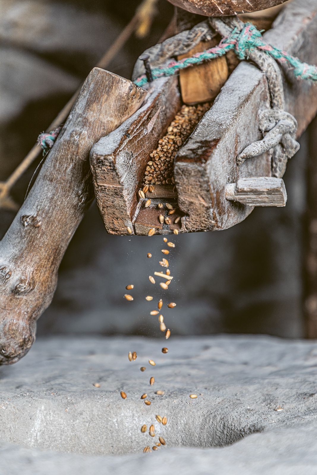 Molino de trigo hidráulico de Milciades Niño. En 2019 solo quedaban tres de estos molinos en el país. Socotá, Boyacá. Foto de Alejandro Osses.