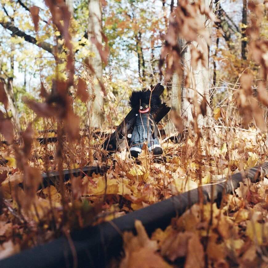 GOLLIWOG, publicado por Backwoodz Studioz, es el nuevo álbum de billy woods.
