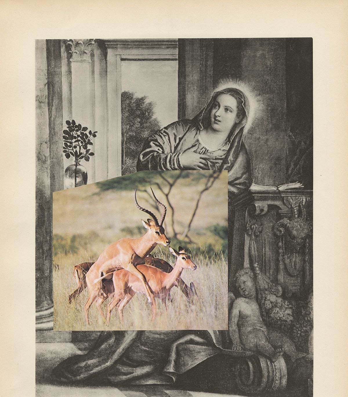 La fianza, 2018, fotocollage de Alma Sarmiento.