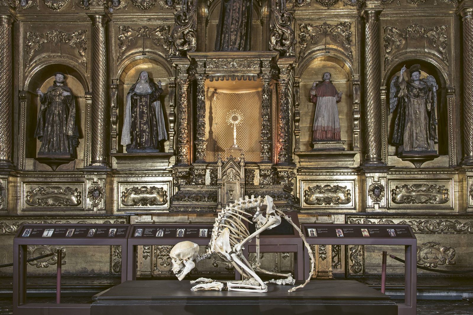 Carlos Castro. Hijo de Dios, 2013. Huesos humanos modificados que dan forma al esqueleto de un primate.
