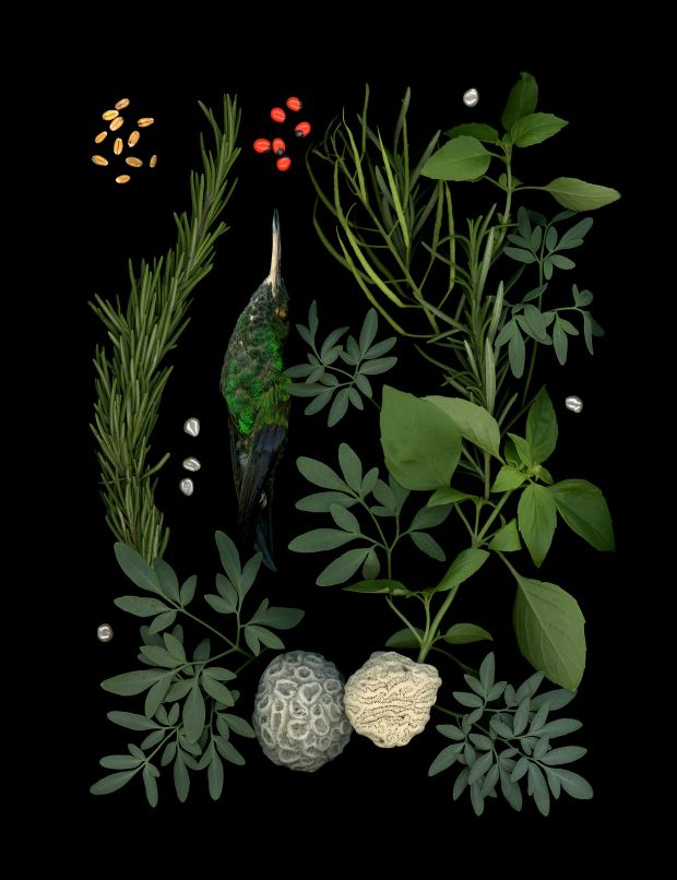 Obra de Joice Rivas.