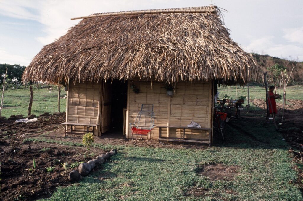 Un lugar para vivir y soñar. Grupo guayabaluno.