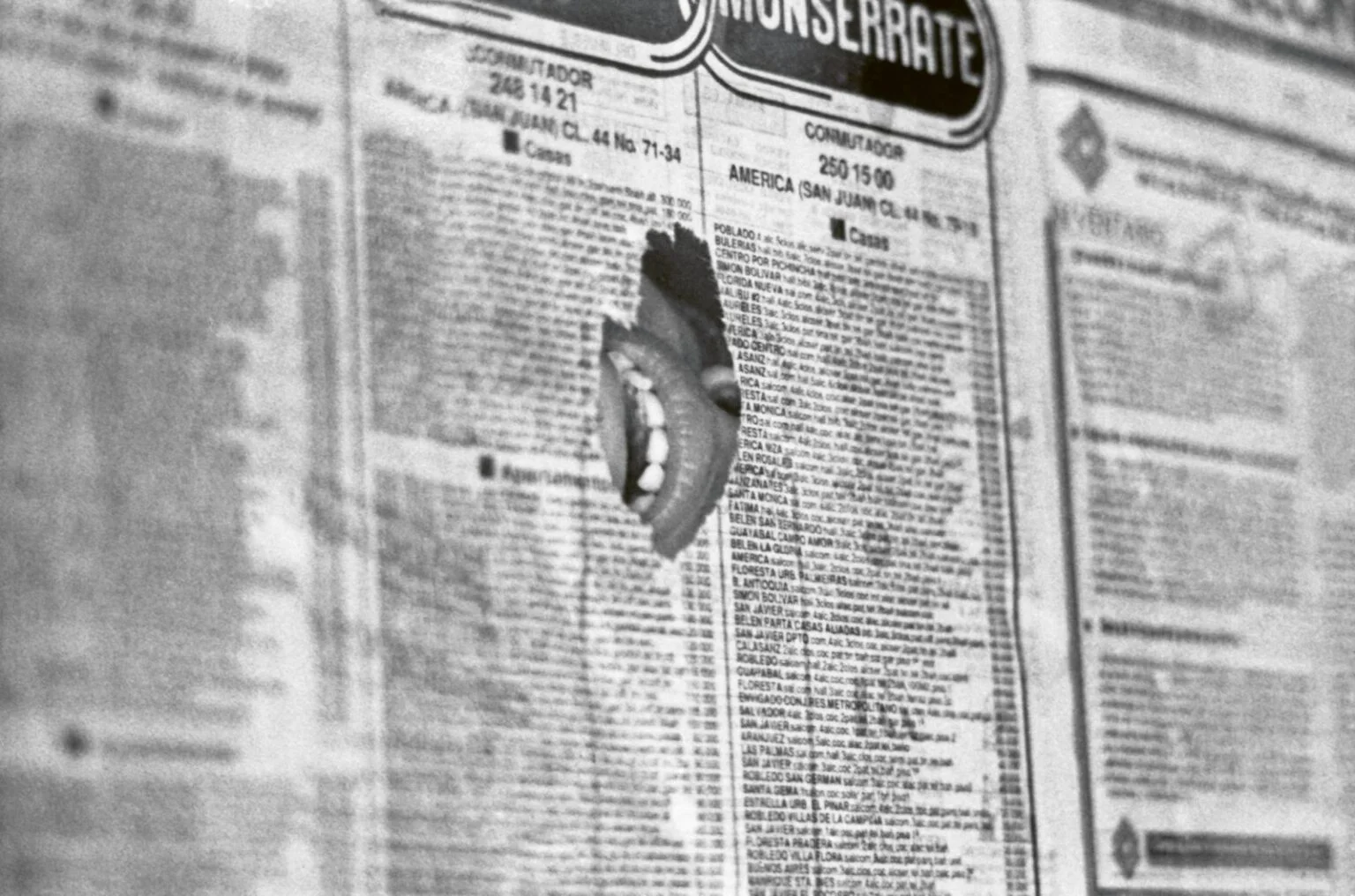 Vitrina Maria Teresa Hincapié