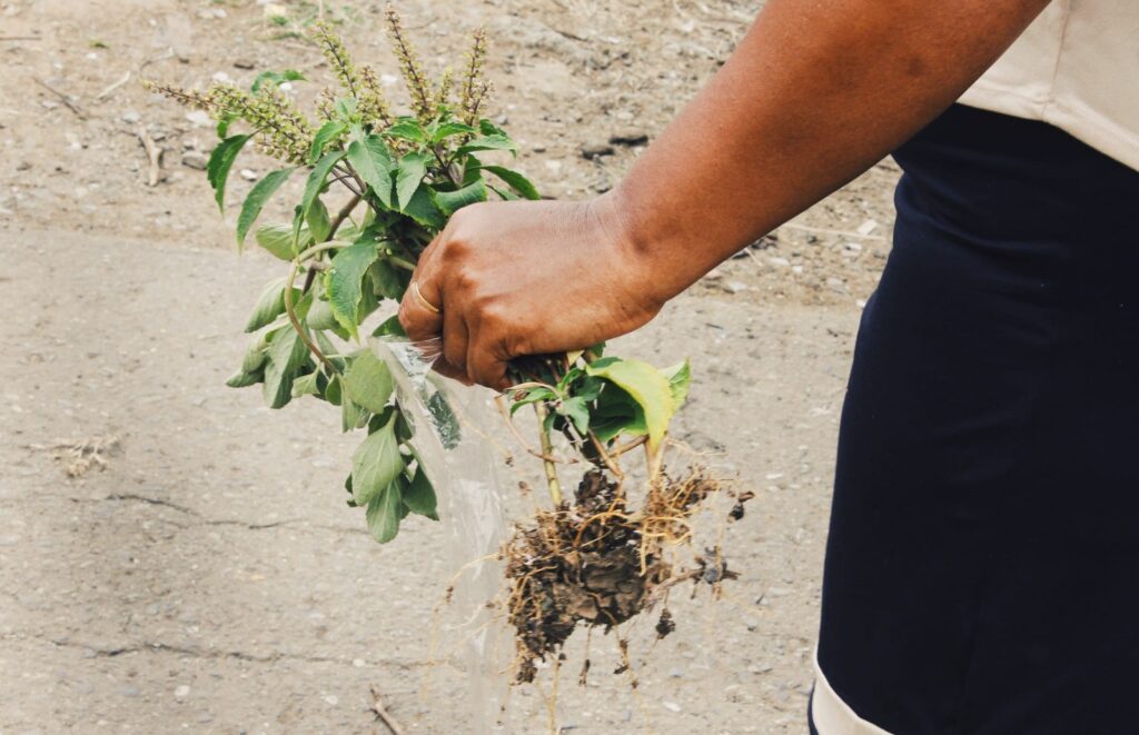 Foto de <b>Silvana Ortega</b>. 