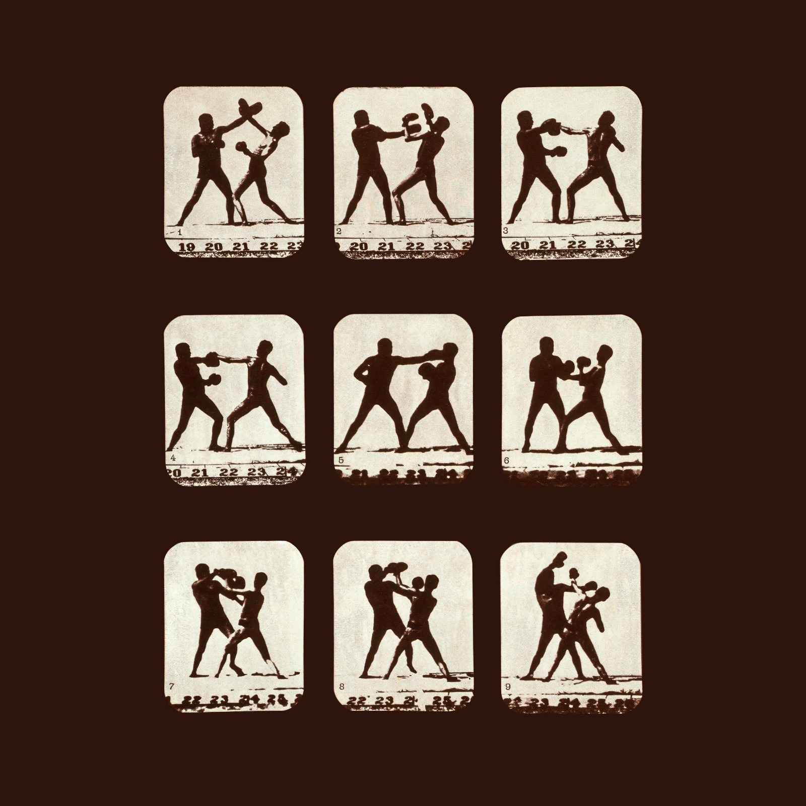 Guantes puestos, Anne Carson. Fotografías de Eadweard Muybridge.