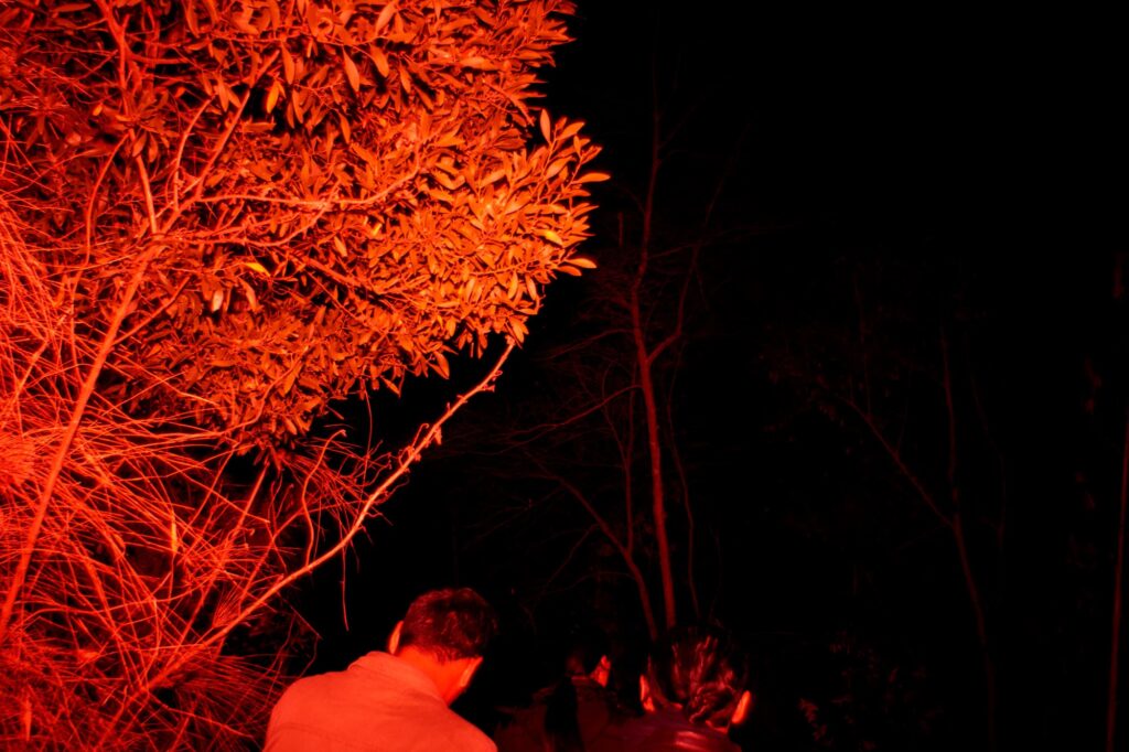 Foto de Ángel Carillo.