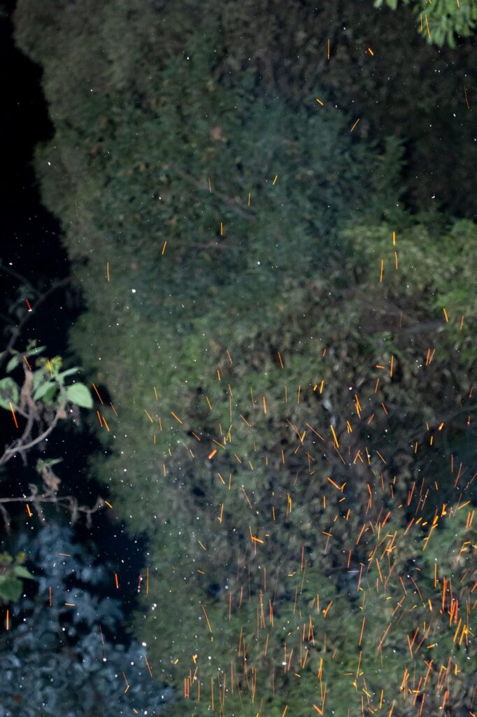 Foto de Ángel Carillo.