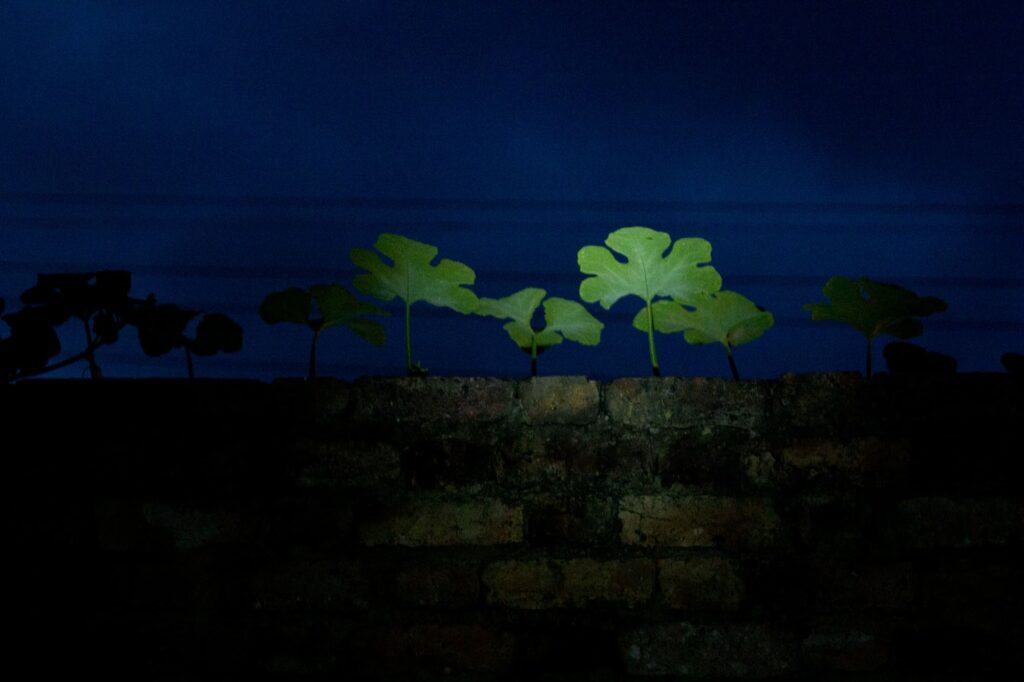 En Tausa nadie ha visto al chupacabras, pero se habló bastante de él en 2016. Incluso en la radio. Varias de las personas con las que hablan Miriam y William lo describen como un animal con alas grandes que prefiere la noche y los lugares abandonados. Foto de Ángel Carillo.